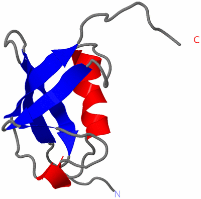 Image NMR Structure - model 1