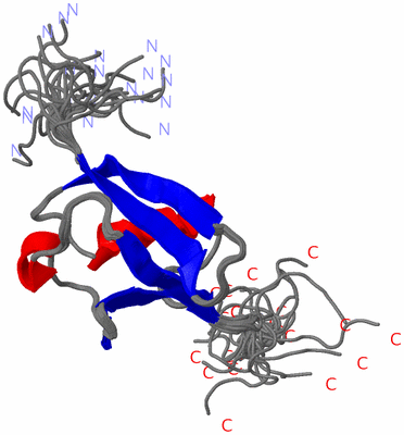 Image NMR Structure - all models