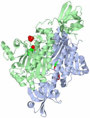 Image Asym./Biol. Unit