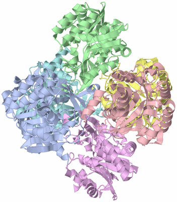 Image Asym./Biol. Unit