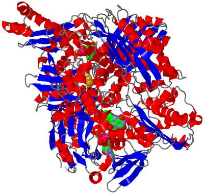 Image Asymmetric Unit