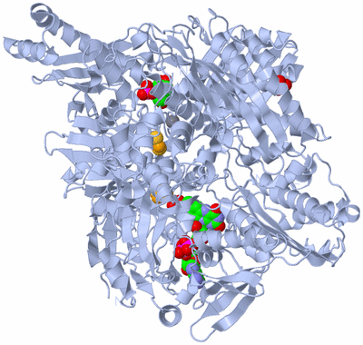 Image Biological Unit 1