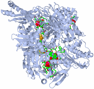 Image Biol. Unit 1 - sites