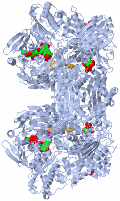 Image Biological Unit 2