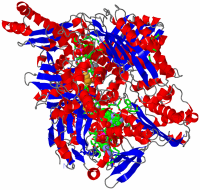 Image Asym. Unit - sites