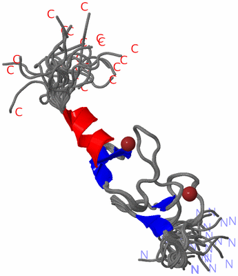 Image NMR Structure - all models