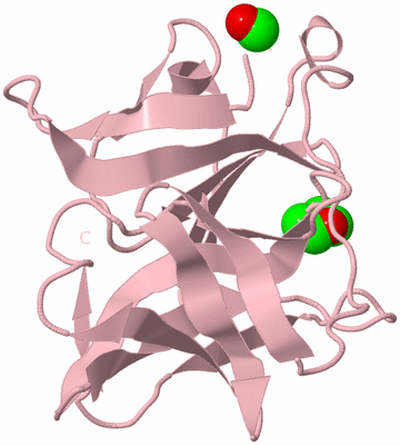 Image Biological Unit 3