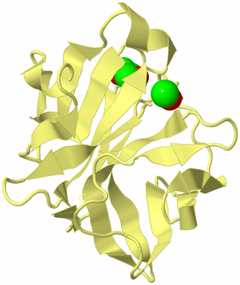 Image Biological Unit 4