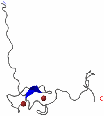 Image NMR Structure - model 1