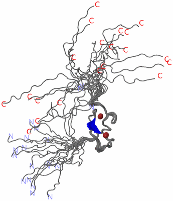 Image NMR Structure - all models