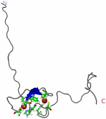 Image NMR Structure - model 1, sites