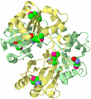 Image Biological Unit 2