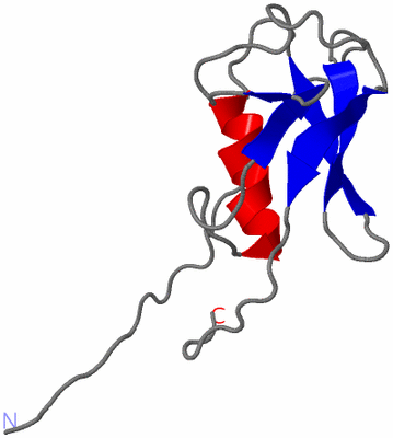 Image NMR Structure - model 1