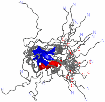 Image NMR Structure - all models