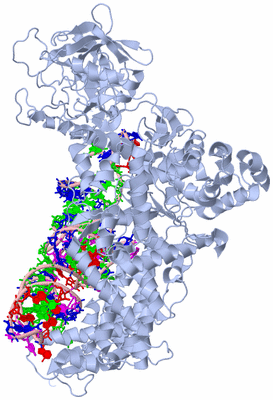 Image Biological Unit 1