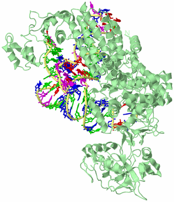 Image Biological Unit 2