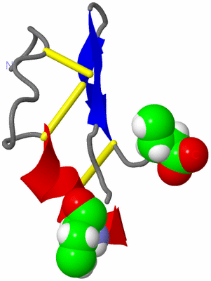 Image NMR Structure - model 1