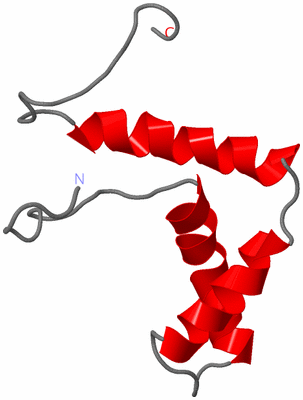Image NMR Structure - model 1