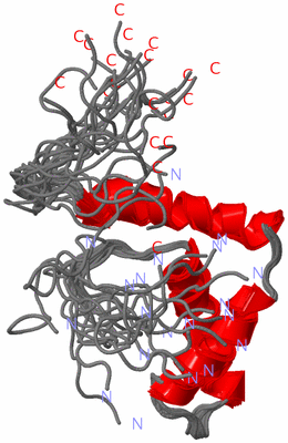 Image NMR Structure - all models