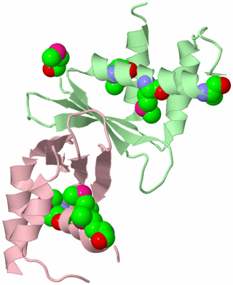 Image Biological Unit 2