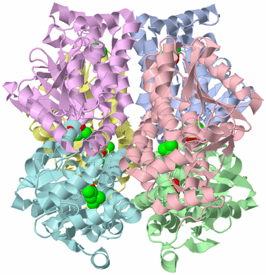 Image Asym./Biol. Unit