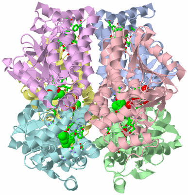 Image Asym./Biol. Unit - sites