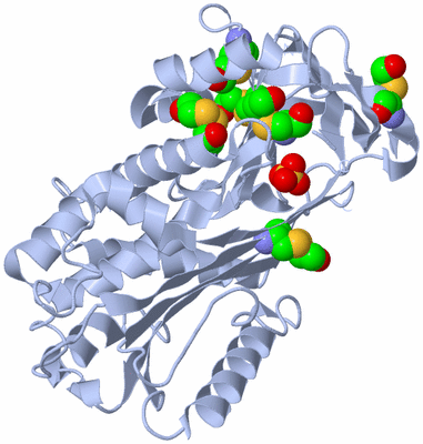 Image Biological Unit 1