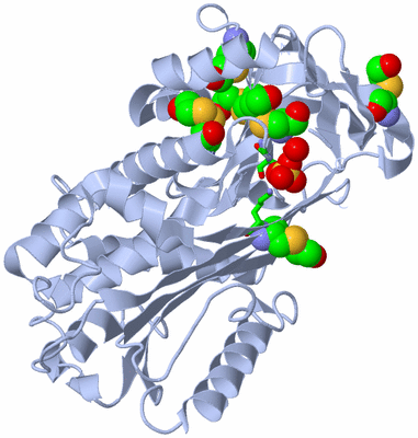 Image Biol. Unit 1 - sites