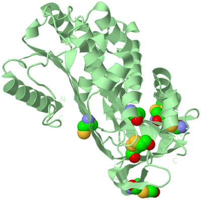 Image Biological Unit 2