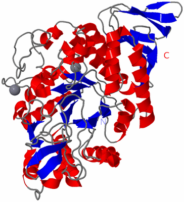 Image Asym./Biol. Unit