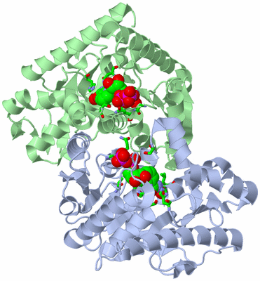 Image Asym./Biol. Unit - sites