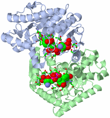 Image Asym./Biol. Unit - sites