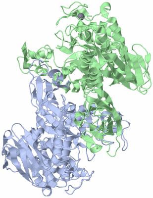 Image Asym./Biol. Unit