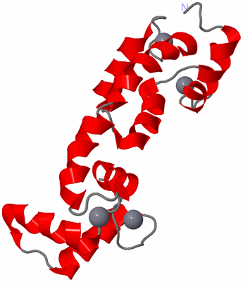 Image NMR Structure - model 1