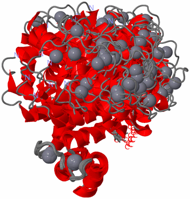 Image NMR Structure - all models