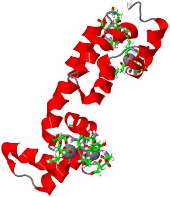 Image NMR Structure - model 1, sites