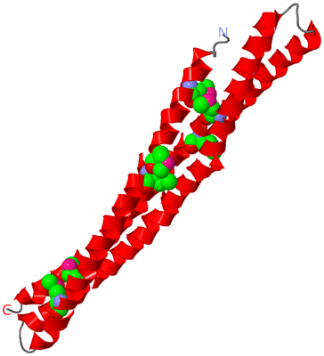 Image Asymmetric Unit