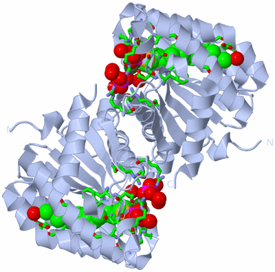 Image Biol. Unit 1 - sites