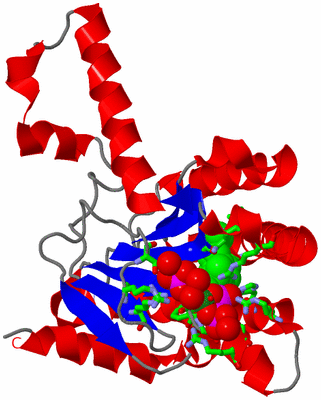 Image Asym. Unit - sites