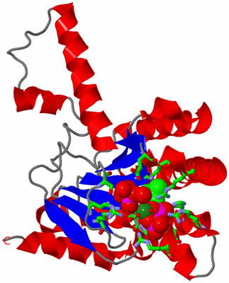 Image Asym. Unit - sites