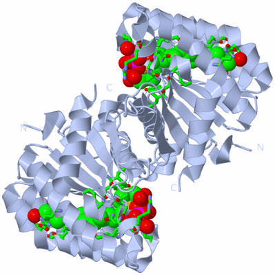 Image Biol. Unit 1 - sites