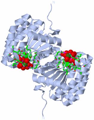 Image Biol. Unit 1 - sites