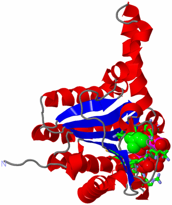 Image Asym. Unit - sites