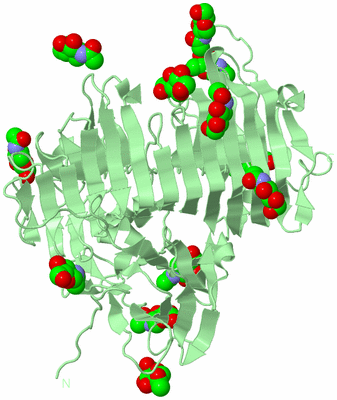 Image Biological Unit 2