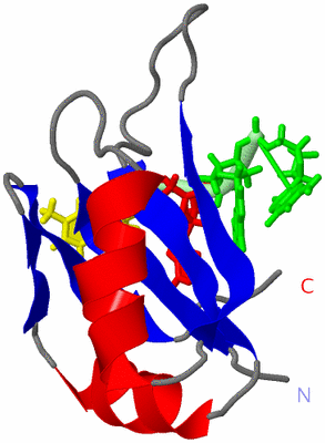 Image NMR Structure - model 1