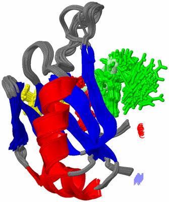 Image NMR Structure - all models