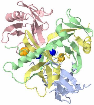 Image Asym./Biol. Unit