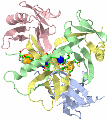 Image Asym./Biol. Unit - sites