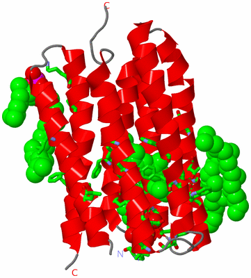 Image Asym. Unit - sites