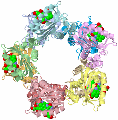 Image Asym./Biol. Unit